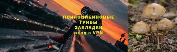 индика Воткинск