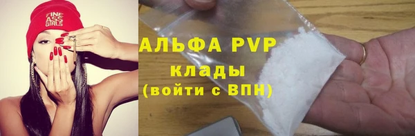 Альфа ПВП Бородино